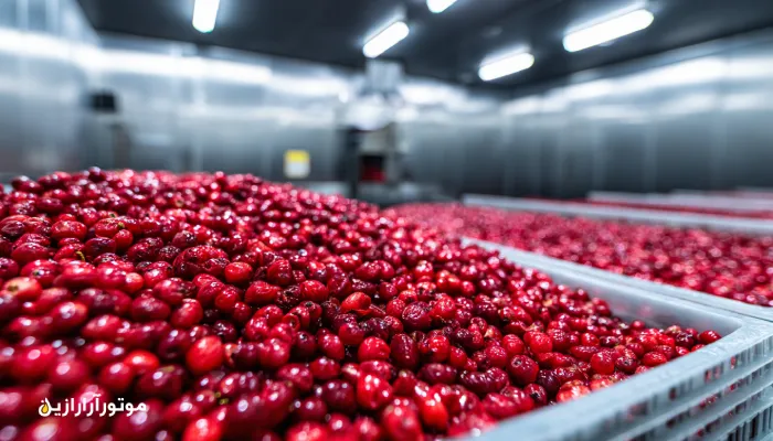 روغنکاری کمپرسور تبرید سردخانه زرشک در زیرکوه با روغن صنعتی . روغن صنعتی زیرکوه