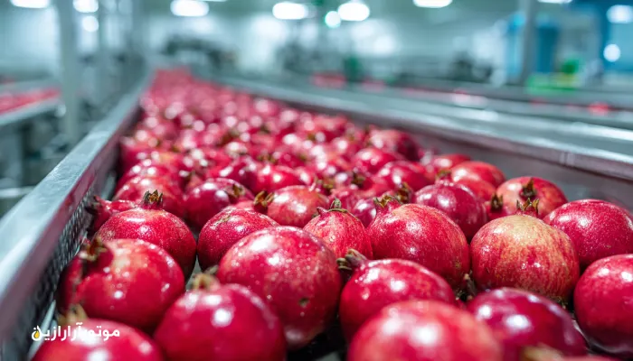 کارخانه فرآوری و بسته‌بندی انار در فردوس با نگهداری سیستم‌های هیدرولیک به کمک روغن صنعتی Food-Grade. روغن صنعتی فردوس